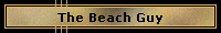 The Beach Guy